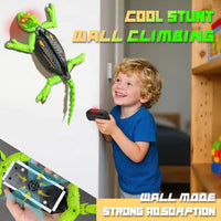 3x Gecko